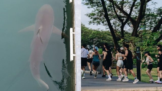 (사진=연합뉴스/게티이미지)