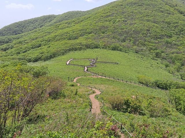 강원 인제의 점봉산 전경. (사진=점봉산산림생태관리센터)
