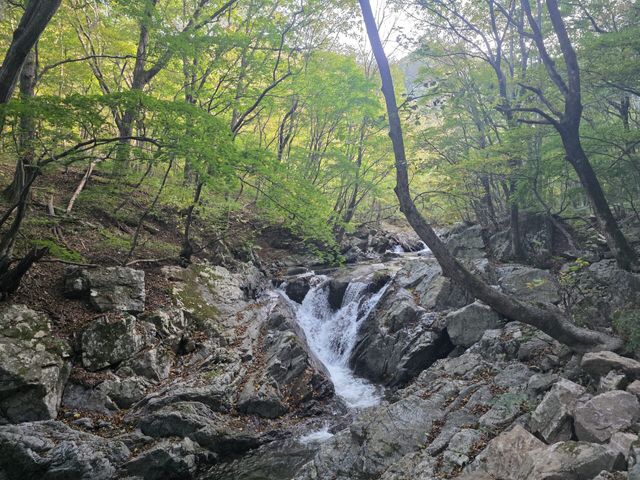 강원 인제의 점봉산 곰배령 트레킹 코스. 내 계곡. (사진=박진환 기자)