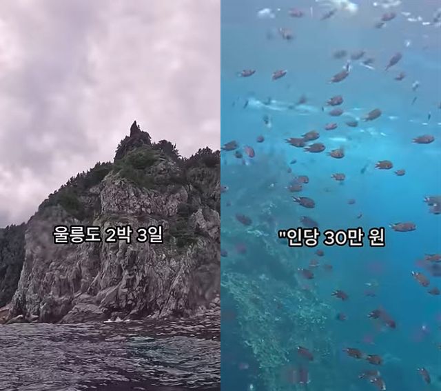 울릉도 관광객 감금 및 특산품 강매 의혹을 주장하는 유튜브 영상의 일부 장면. (사진=유튜브 캡처)