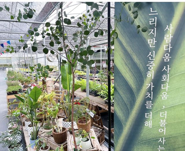 푸른팜사회적협동조합이 운영하는 푸른팜 농장 입구에 설치된 배너엔 '사람다움 사회다움'이 적혀 있다.(사진=서대웅 기자)