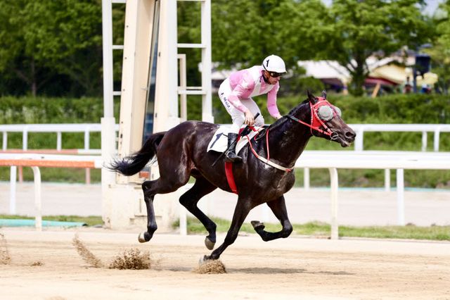 기수와 경주마가 1위로 결승선을 통과한 뒤 트랙을 질주하고 있다. (사진=한국마사회)