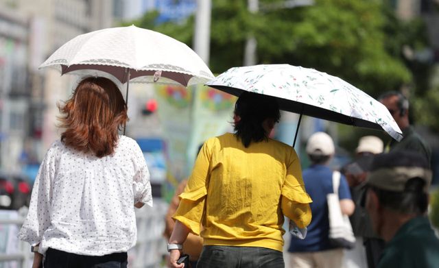 제주, 올해 첫 폭염특보 (사진=연합뉴스)