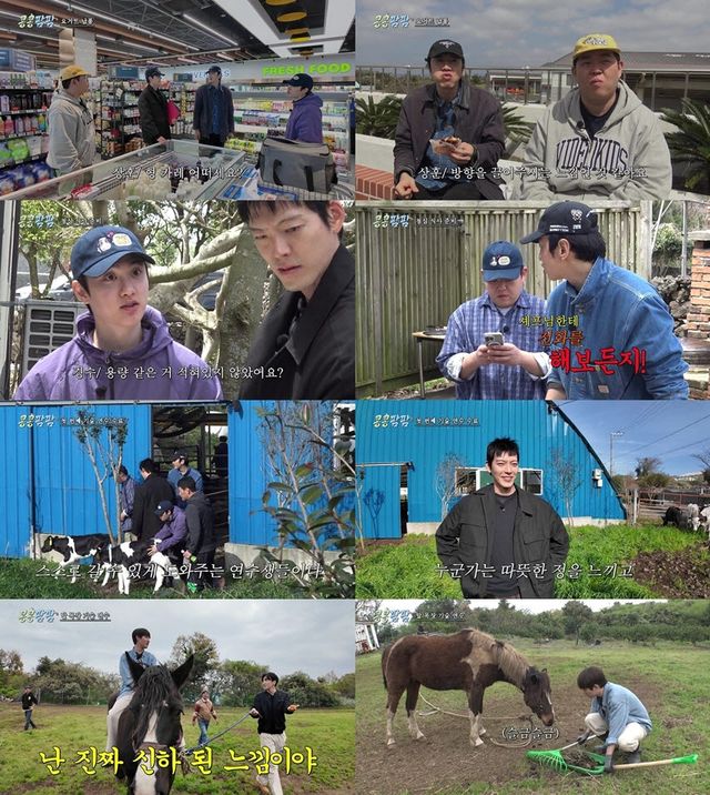 (사진=tvN)