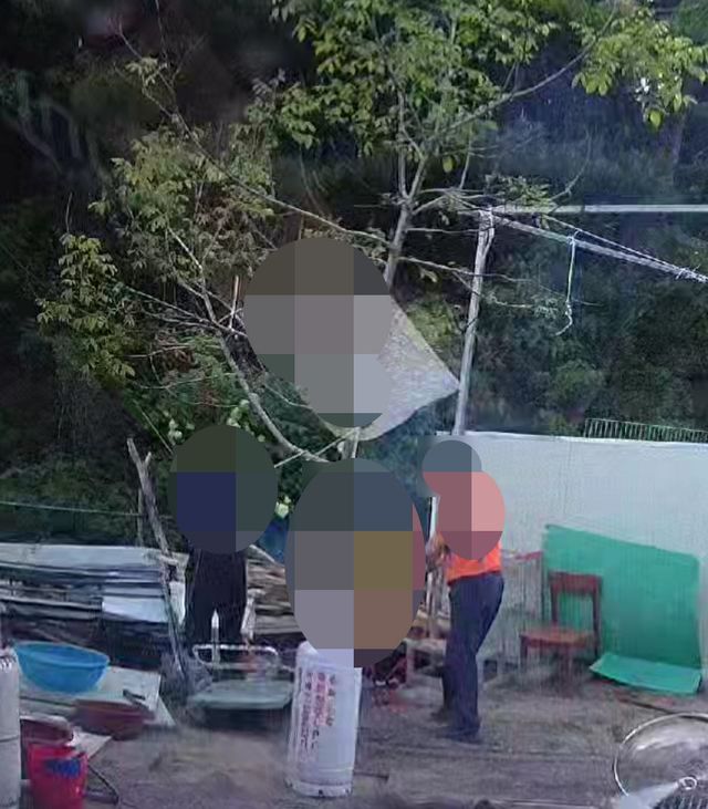 (사진=도로시지켜줄개)