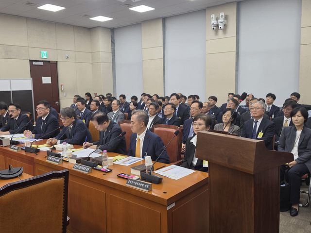 14일 국회에서 열린 국조특위 청문회에 증인들이 참석해 있다. (사진=안소현 기자)