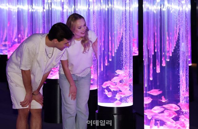 [이데일리 방인권 기자] 롯데월드 아쿠아리움이 15일 서울 송파구 롯데월드 아쿠아리움에서 ‘아쿠아 갤러리: 물빛정원’을 선보이고 있다.