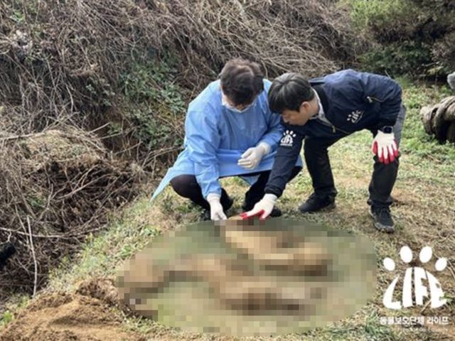 2023년 4월 경기 여주 북내면의 한 야산에서 동물보호단체 '라이프'가 발견한 '신종 펫숍' 암매장 현장. (사진=라이프)