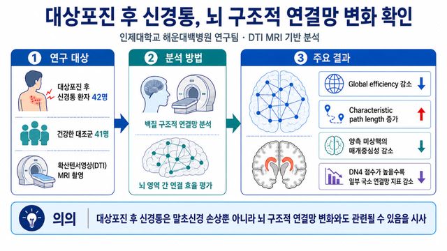 대상 포진 후 신경통, 뇌 구조족 연결망 변화 확인. [연구 모식도]