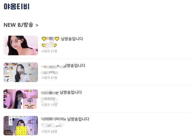 이모(36) 씨가 사기를 당했던 '야옹티비' 사이트의 모습. 실제 인터넷 방송 플랫폼과 다를 바 없지만, 해당 방송들은 모두 시청이 불가능한 가짜다.(사진=독자 제공)