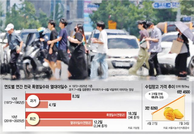 (그래픽=이데일리 이미나 기자)