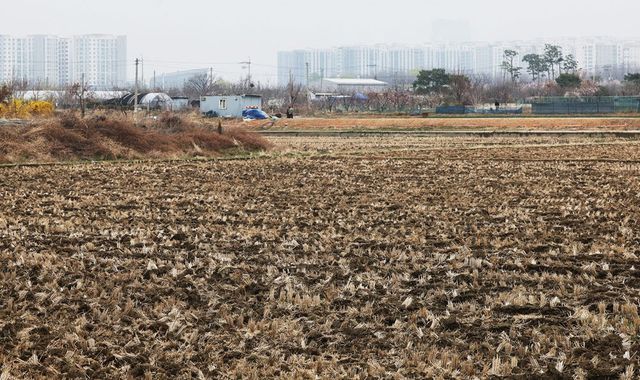 경기도의 한 농지 모습. (사진=연합뉴스)