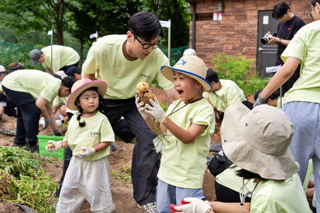 지난 4일부터 1박 2일 동안 롯데마트·슈퍼가 진행한 '가족과 함께하는 농촌 체험 프로그램'에서 임직원들이 감자를 캐고 있다. (사진=롯데마트)