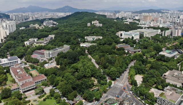 서울 동대문의 홍릉숲 전경. (사진=국립산림과학원 제공)