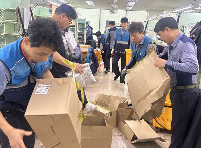 서울광진우체국 집배원들이 4일 오전 돌봄 어르신 밑반찬 배달을 위해 구분 작업(좌측)을 벌이고 있다. (사진=서울지방우정청)