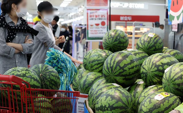 (사진=뉴시스)
