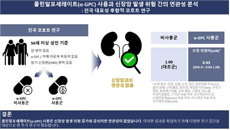 대한민국 50세 이상 성인을 대상으로 한 전국 코호트 연구 결과, 콜린알포세레이트(α-GPC) 사용은 신장암 발생 위험 증가와 유의미한 연관성이 없었다(보정 위험비: 0.95, 95% 신뢰구간: 0.84-1.08) .