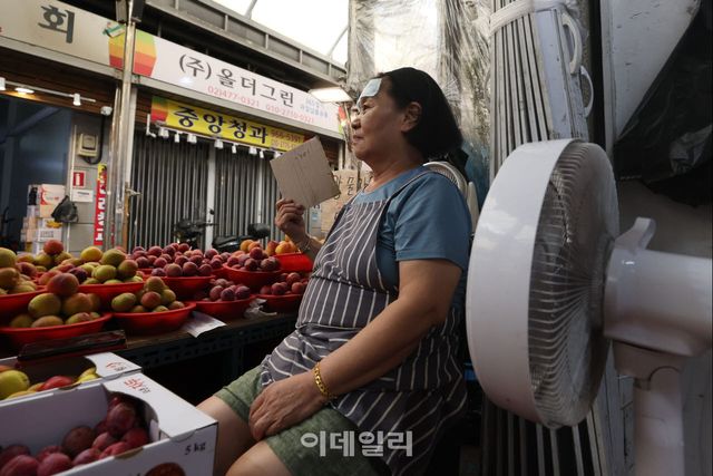 [이데일리 이영훈 기자] 한낮 최고기온이 39도까지 오르며 폭염중대경보가 발효된 5일 서울 한 재래시장에서 상인이 선풍기 앞에서 더위를 식히고 있다.