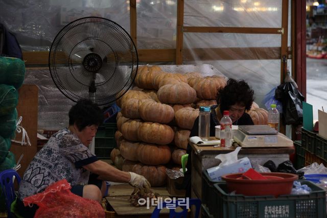 [이데일리 이영훈 기자] 한낮 최고기온이 39도까지 오르며 폭염 중대경보가 내린 5일 서울 한 재래시장에서 상인들이 선풍기 앞에서 더위를 식히고 있다.