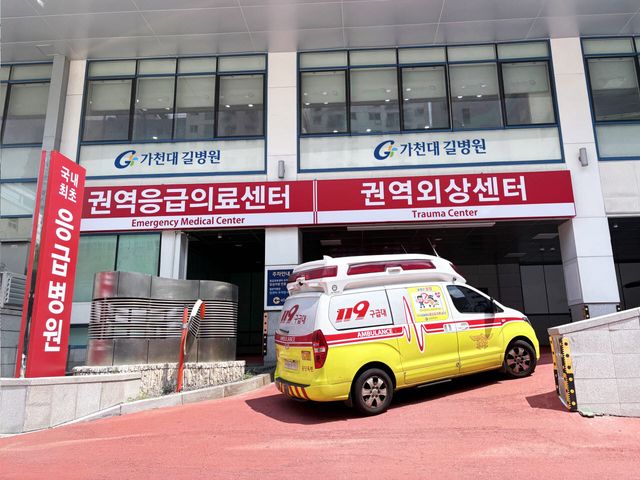 폭염 속 야구 관람 중 실신 관중... 치료 후 건강 회복 퇴원