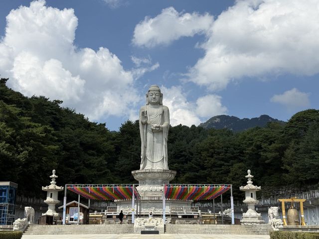 동화사의 통일약사여래대불