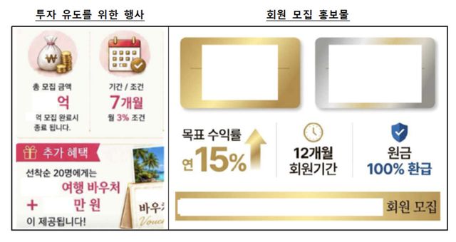 가짜 투자를 유도하는 홍보물(자료=금감원)