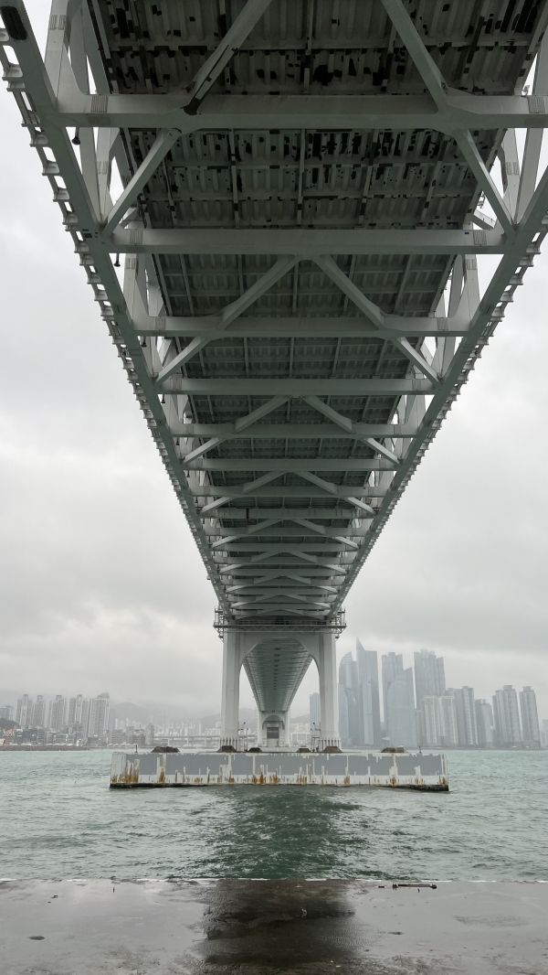 나건 교수가 직접 촬영한 사진