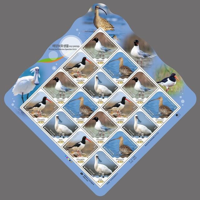 우정사업본부가 발행하는 멸종위기에 처한 바닷새 4종을 소재로 한 기념우표. [그림=우본]