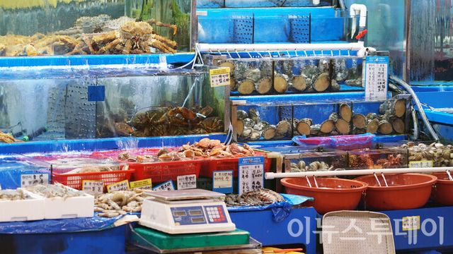 노량진 수산시장의 한 매장 모습. [사진=안경선 기자]&nbsp;