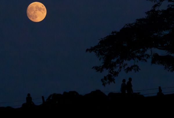 [사진=연합뉴스]