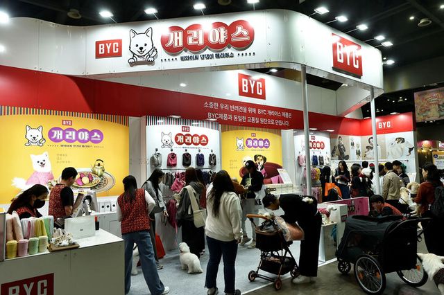 BYC가 지난 15일부터 17일까지 일산 킨텍스에서 개최된 ‘2024 메가주 일산(케이펫페어)’에 참가해 개리야스의 판매 성과를 초과 달성했다. [사진=BYC]