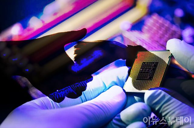 [그래픽=고선호 기자]