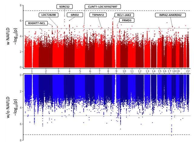 [사진=테라젠헬스]