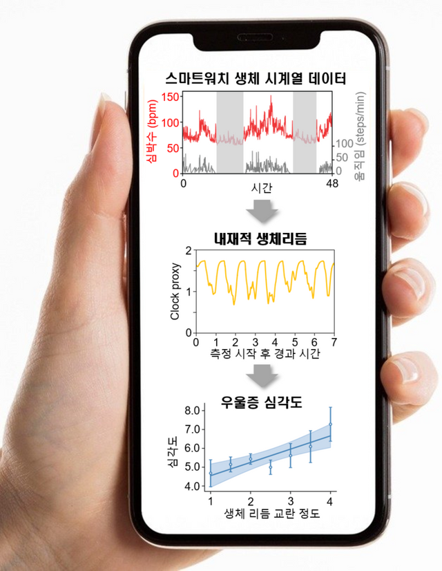 연구 결과 모식도. 스마트워치로 수집된 생체 데이터를 기반으로 뇌 속 생체시계의 위상과 수면 단계를 추정하는 역문제 해결 수학적 알고리즘을 개발했다. 이 알고리즘은 매일의 생체리듬 교란 정도를 추정할 수 있으며, 이 추정치는 우울증 증상을 예측할 수 있는 디지털 바이오마커로 활용될 수 있다. [사진=KAIST]