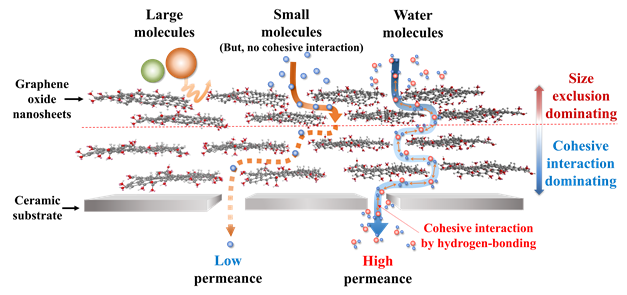 적층형 산화 그래핀 막에서의 물질 이동 기작 모식도. [사진=GIST]