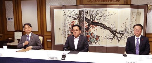 최상목 대통령 권한대행 부총리 겸 기획재정부 장관이 24일 정부서울청사에서 열린 '대외경제현안 간담회'를 주재하고 있다. [사진=연합뉴스]