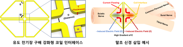 기자극 기반 말초신경 코일 인터페이스 모식도. [사진=d