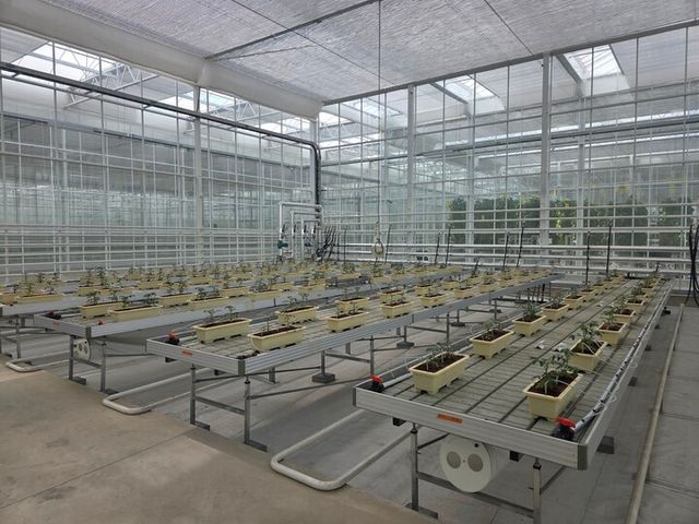 소형 DAC 설비 실증이 이뤄지고 있는&nbsp;경상북도 상주 스마트팜혁신밸리 내에 위치한&nbsp;에코프로에이치엔의 온실 모습. [사진=에코프로에이치엔]