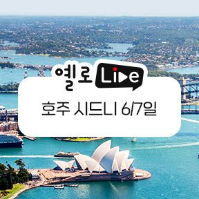 [사진=노랑풍선]