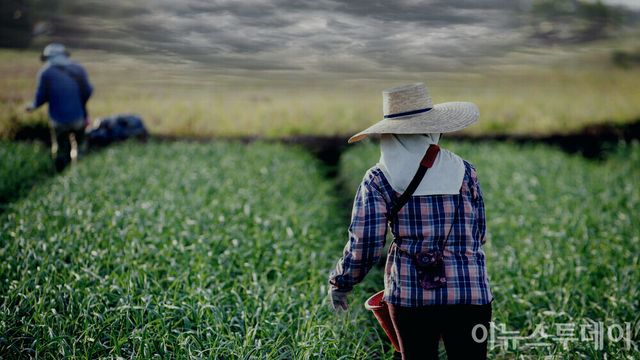 [사진=프리픽, 그래픽=박재형 기자]