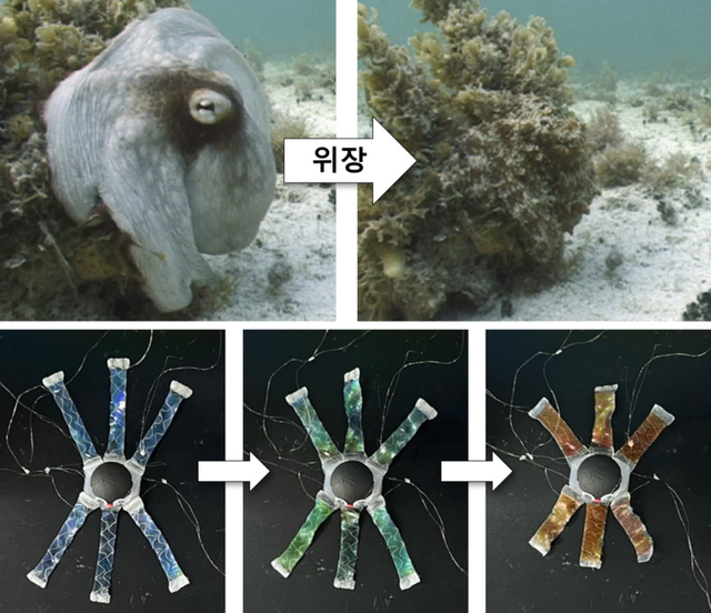 소프트 로봇 옥토이드 설명 이미지. [사진=