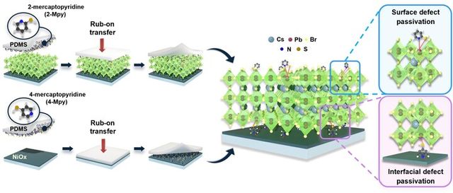‘구조 이성질체’ 분자와 ‘건식 전사공정’을 결합해 페로브스카이트 발광다이오드(LED) 내 결함을 정밀 제어하고 전하 이동 균형과 안정성을 향상시키는 기술이 개발됐다. [사진=고려대학교]