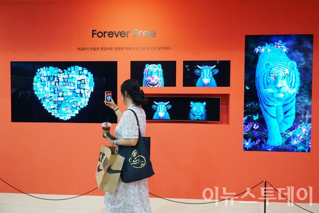 지난해 열린 ‘2024 한국디스플레이산업전시회’ 현장에 마련된 삼성디스플레이 부스에서 한 관람객이 디스플레이를 통해 전시된 다양한 미술 작품을 관람하고 있다. [사진=이뉴스투데이DB]