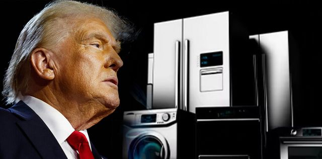 [사진=연합뉴스, 그래픽=고선호 기자]