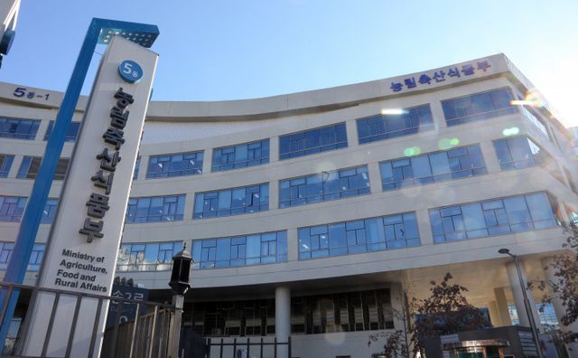 [사진=연합뉴스]