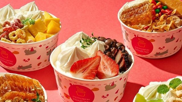 ‘요아정(요거트 아이스크림의 정석)’ 제품 이미지. [사진=요아정]