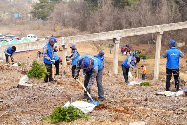 대한전선이 당진시와 함께 식목일 맞이 나무심기 행사에 참여했다. [사진=대한전선]