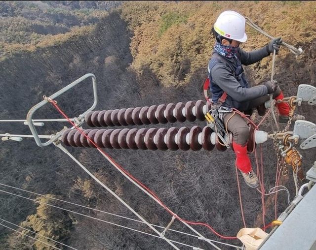 송전선로 손상된 애자 교체. [사진=한국전력]