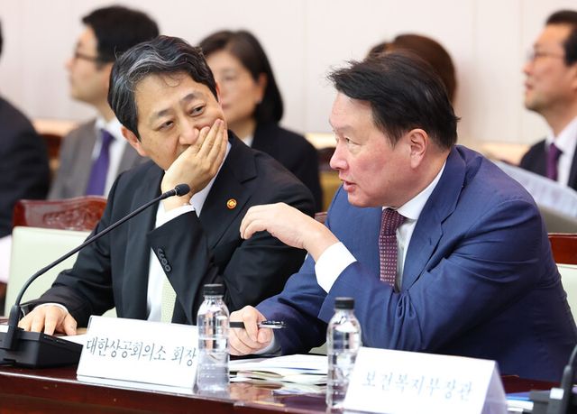 안덕근 산업통상자원부 장관과 최태원 대한상공회의소 회장이 17일 정부서울청사에서 열린 제6차 2025년 아시아태평양경제협력체(APEC) 정상회의 준비위원회에서 대화하고 있다. [사진=연합뉴스]