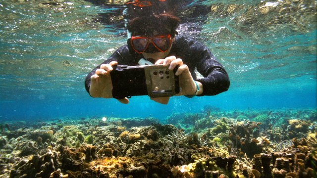 삼성전자가 '산호초 복원 프로젝트'를 통해 1년간 농구장 25배 면적의 산호초를 복원했다. [사진=삼성전자]